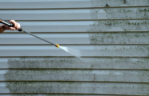 Best Restaurant Pressure Washing  in Borger, TX